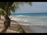Barbados Feb 2011